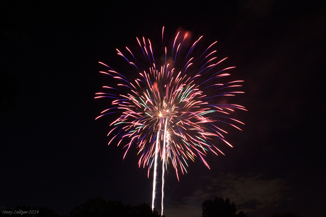 Dearborn Fireworks 2014